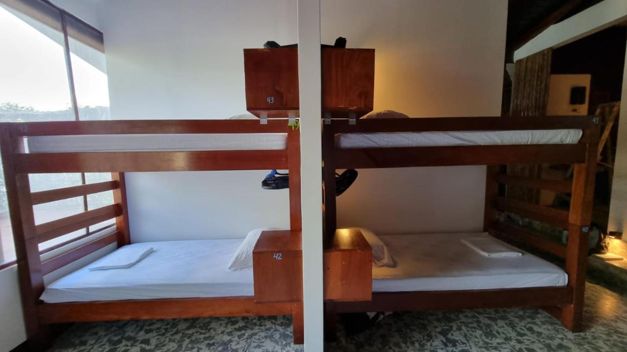 Paradiso Hostel La Laguna Zewnętrze zdjęcie