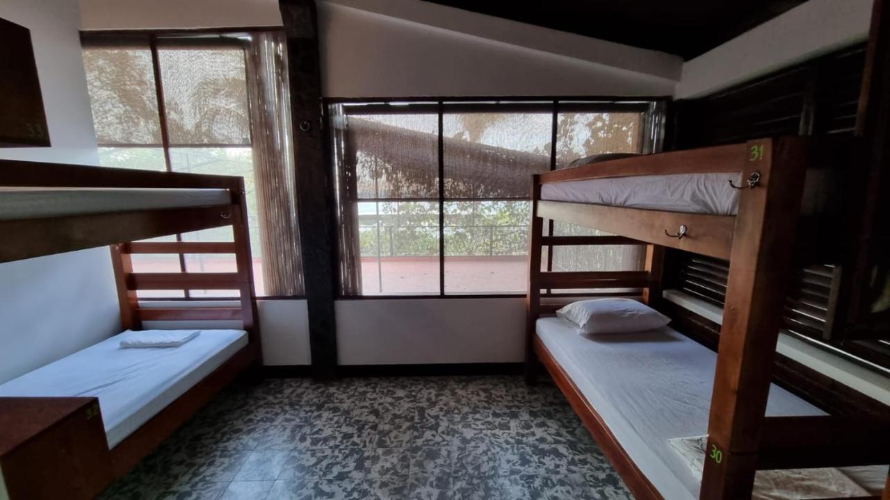 Paradiso Hostel La Laguna Zewnętrze zdjęcie